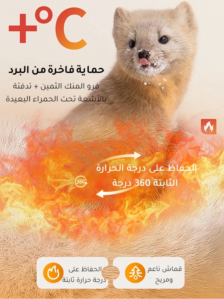 UW3015 | مجموعة قبعة وشاح راقي من فرو المنك للنساء -v4