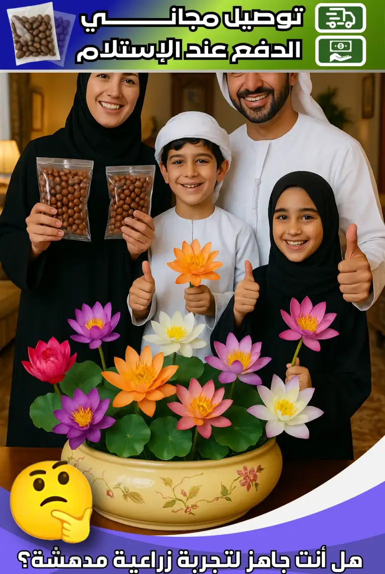 HM1190KC1 |  بذور اللوتس المزهرة في الفصول الأربعة، بذور اللوتس المائية المزهرة، زراعة مائية، أصيص زهور داخلي مقاوم للبرد  -v4