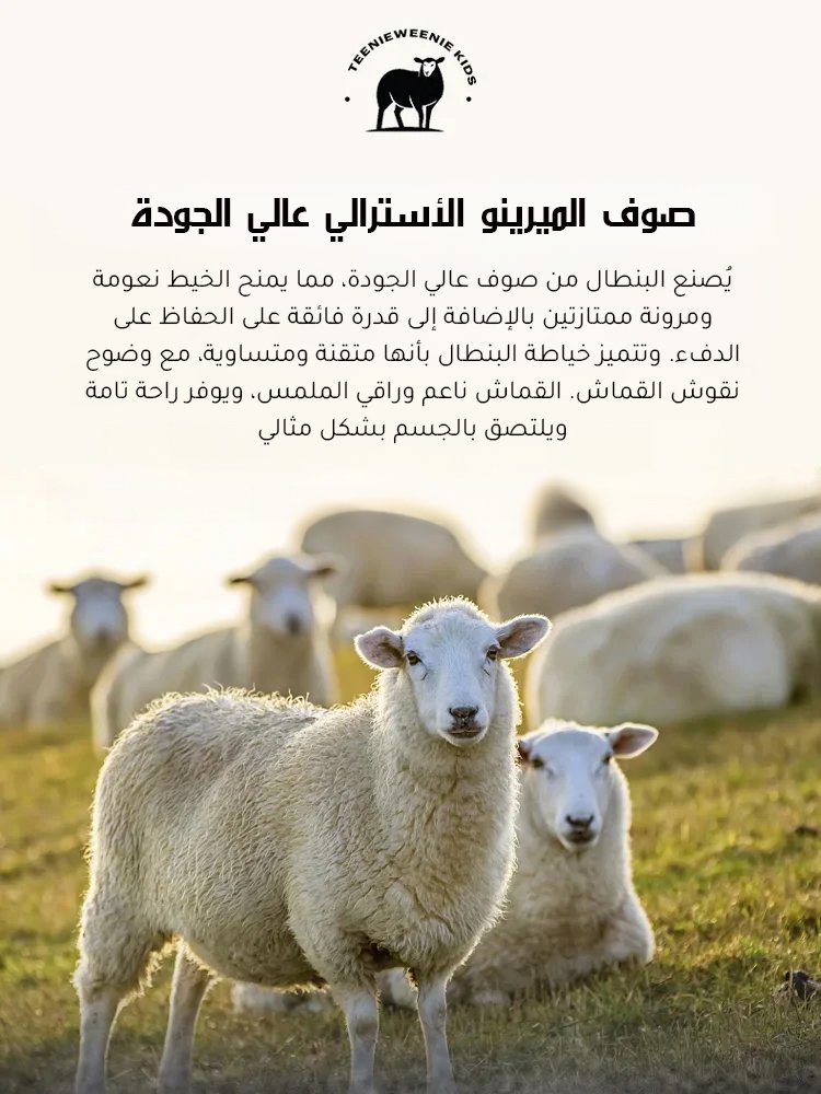 CL2481 | سروال كاجوال رياضي رجالي بقصة مستقيمة وواسعة -v4 CL2481 | سروال كاجوال رياضي رجالي بقصة مستقيمة وواسعة -v4