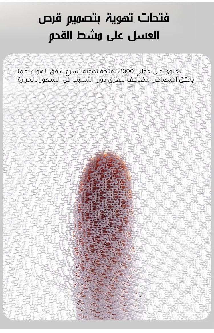 1768973186479670.jpg