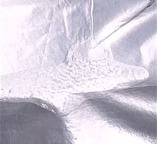 1775182648136392.gif