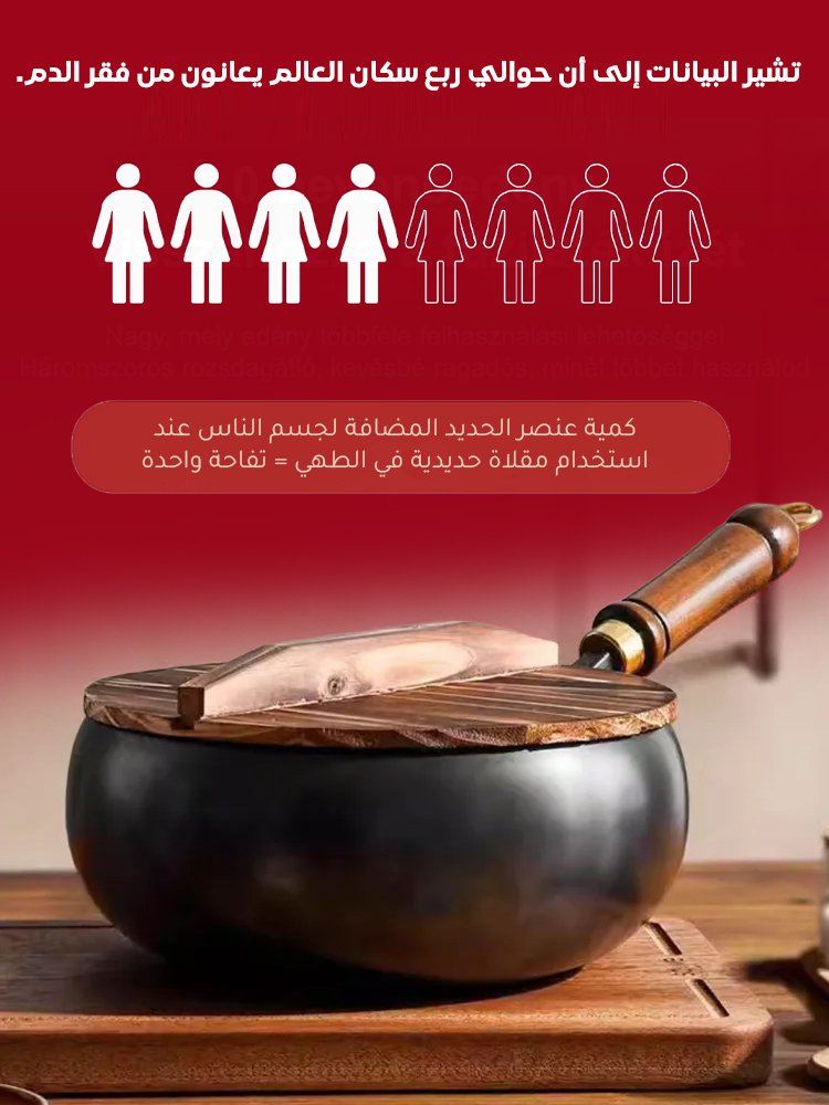 HM319ZHCD | مقلاة عميقة صحية مانعة للالتصاق بدون الطلاء (حديد نقي، توفير عنصر الحديد للجسم ) -v4 HM319ZHCD | مقلاة عميقة صحية مانعة للالتصاق بدون الطلاء (حديد نقي، توفير عنصر الحديد للجسم ) -v4