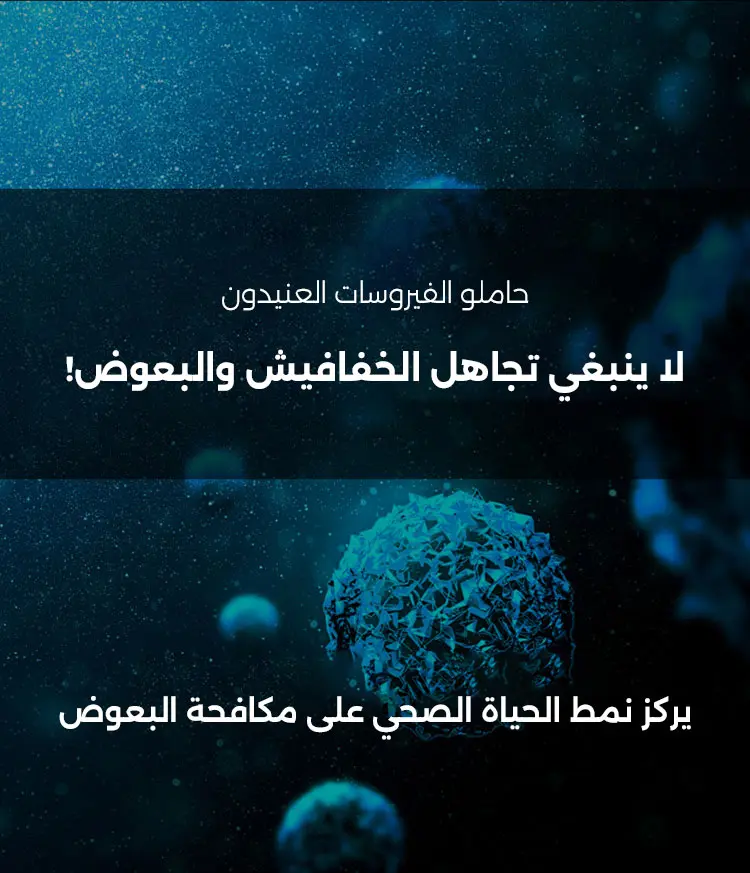 1784106631543828.webp