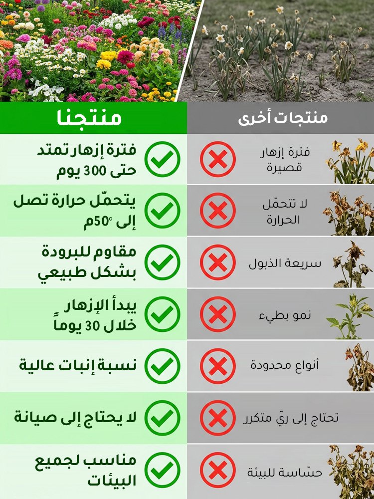 HM4219B | بذور الورد المتسلق الملكي | مقاوم للرطوبة والحرارة الشديدة | زراعة منزلية سهلة -v4 HM4219B | بذور الورد المتسلق الملكي | مقاوم للرطوبة والحرارة الشديدة | زراعة منزلية سهلة -v4