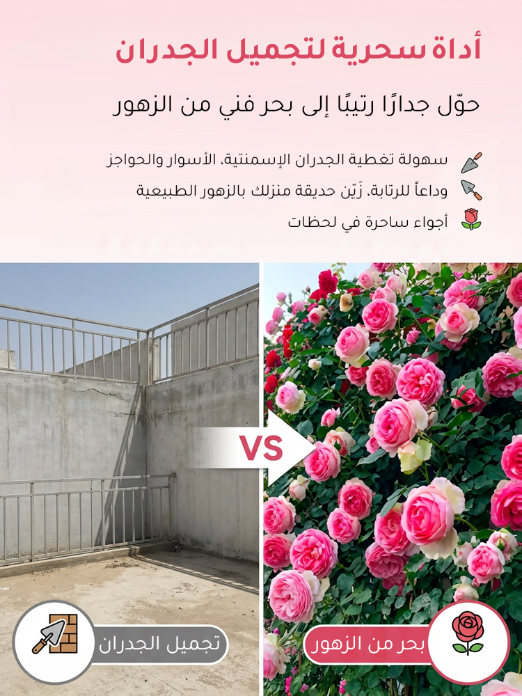 HM4219C | بذور ورد مزدوج البتلات تزهر طوال العام -v4