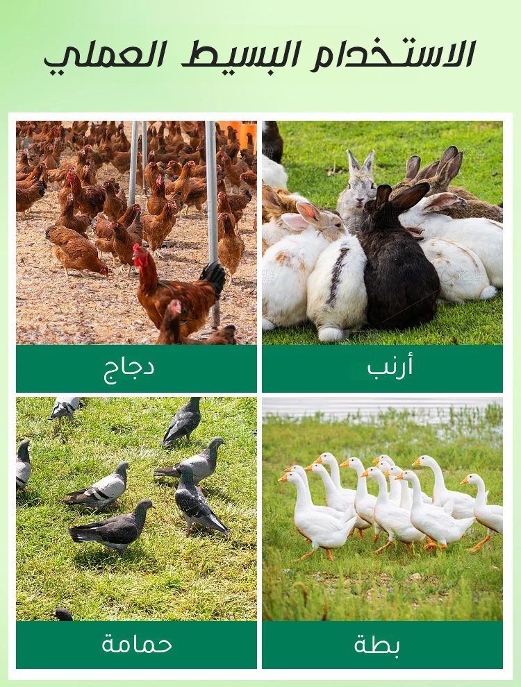 HM4518A | قفص اصطياد حيوانات متعدد الأغراض في الهواء الطلق(يسمح بدخول فقد، ويمنع الخروج) -v4
