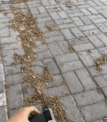 1791343143219430.gif